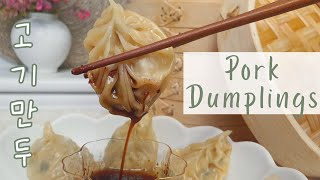 Healthy amp Homemade Pork Dumplings  No More StoreBought  마트에서 사는 만두는 이제 그만 간단하고 건강한 고기만두 [upl. by Yruama860]