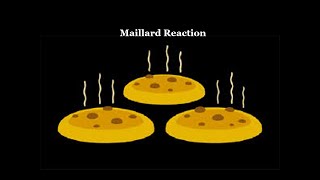 Maillard Reaction [upl. by Ursula795]