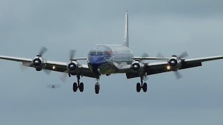 Red Bull The Flying Bulls DC6 TakeOff and Landing at Duxford Aerodrome [upl. by Nosnek]