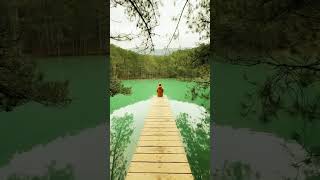 Soothing Music for Relaxation and Meditation  shorts viralvideo relaxing meditation [upl. by Sachiko415]