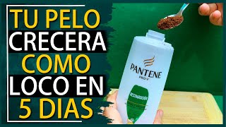 Potencia tu Shampoo con Café y Azúcar Logra un Cabello Brillante y Fuerte [upl. by Landre]