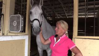 Olympian Evi Strasser Talks about Equinety and Training in Wellington Florida [upl. by Maiocco]