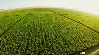 Agricultura de Presición en Argentina  TvAgro por Juan Gonzalo Angel [upl. by Tom413]