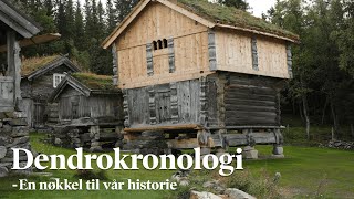 Dendrokronologi [upl. by Petie]