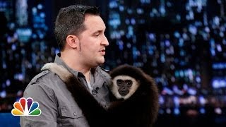 Jeff Musial Otters Gibbon and Water Buffalo Part 2 Late Night with Jimmy Fallon [upl. by Enirehtakyram]