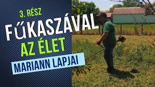 Fűkaszával az élet 3 rész Fűkasza damilfej befűzése és vágókés felszerelése [upl. by Euqitsym]