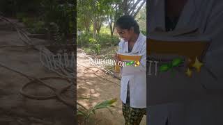 Herbal garden visit of dsrrau jodhpur bams bamslecture ayurveda dsrrau vlog bams [upl. by Smitty]