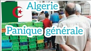 Algérie Panique générale [upl. by Vitia393]