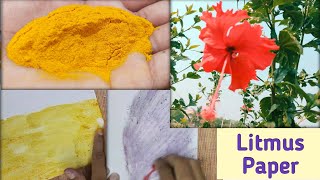 Acid and Alkali test  How to make litmus paper  How to make litmus paper from natural sources [upl. by Paulina]