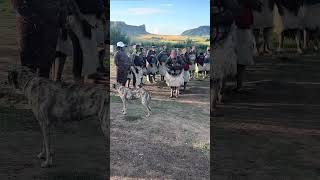 Lesotho The Initiation School Dance  Basotho Traditions  Botha Bothe [upl. by Aicirt]