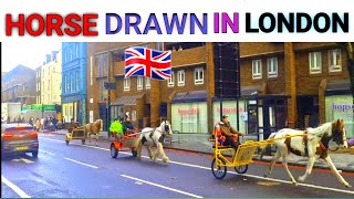 Horse Drawn Carriage London Horse Drawn Travel in London 2024 [upl. by Caplan]