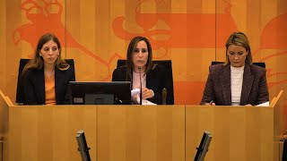 Beschlussempfehlungen der Ausschüsse zu Petitionen  20112025  24 Plenarsitzung [upl. by Raynata979]