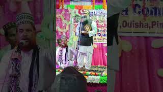 eidmiladunnabi shorts 12rabi viralvideo 2024shorts [upl. by Roderic153]