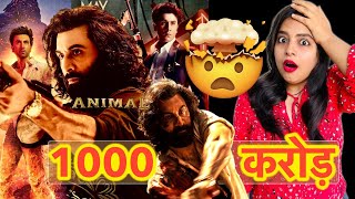 1000 Crore Lading  Animal Box Office Collection REACTION  Deeksha Sharma [upl. by Atineg]