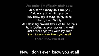 Officially Missing You Lyrics  Tamia [upl. by Culver874]