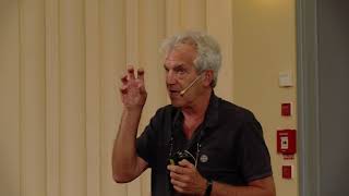 Mystery of the Brain  Symposium 2019 Talk Roberto Caminiti [upl. by Adnorehs]