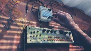 Monome Norns Shield  mlr  Critter amp Guitari Organelle M  ambient jam [upl. by Giannini35]