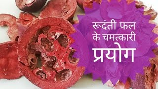 रूदंति फल के चमत्कारी प्रयोग परिचय गुणधर्म  benefit of rudanti fruit herbs ayurveda [upl. by Politi]