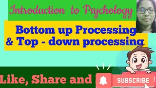 Bottom up ⬆️and Top down⬇️ processing📌Perception📌 Introduction to Psychology📌 [upl. by Kenelm]