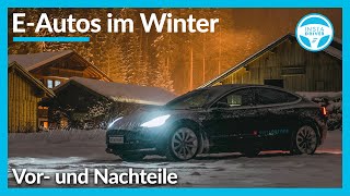 Elektroautos im Winter  alle Vorund Nachteile [upl. by Leeanne271]