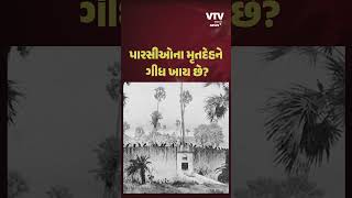 પારસીઓની અંતિમવિધિ હોય છે સૌથી અલગ જાણીને નવાઈ લાગશે  VTV Gujarati [upl. by Seena180]