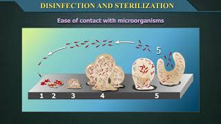 Disinfection and Sterilization [upl. by Eelymmij]