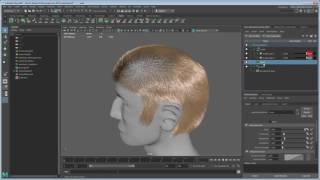 Create Maya hair  The basics [upl. by Thorfinn97]