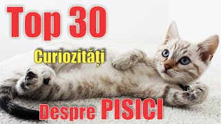 Top 30 Curiozități despre PISICI care pot sa te surprindă [upl. by Nomelihp]