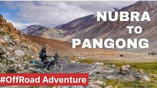 Nubra Valley to pangong Lake by roadtrip offroad Adventures road trip leh ladakh ladakh permit [upl. by Eduino]