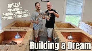 Super Rare Australian Reptile Breeding Facility  Shingleback Skink Heaven [upl. by Quick]