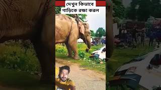 দেখুন কিভাবে গাড়িটিকে রক্ষাকরল।reels viralvideo foryoupage youtubeshorts idea shortvideo [upl. by Rustice236]