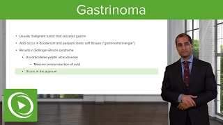 Enteroendocrine Tumors Gastrinoma – Endocrine Pathology  Lecturio [upl. by Margaretta]