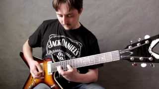 Pantera  Im Broken Cover by Vladimir Shevyakov [upl. by Madaras]