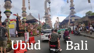 Time to Bicycle  Bali na koleCycling in IndonesiaJedu do města Ubudtravel vlog 21 [upl. by Enaled]