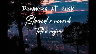 Downers at dusk talha anjum lofi songs [upl. by Felty]