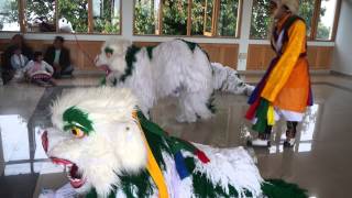 Jhamtse Gatsal  Lion Dance  Inside [upl. by Aible336]