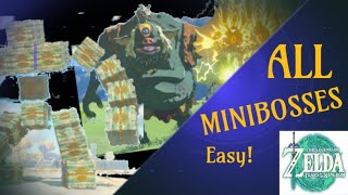 Zelda Tears of the Kingdom  All Mini Bosses and How to Defeat Them Easily [upl. by Naam]