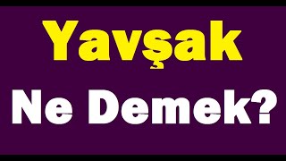 Yavşak Ne DemekYavşak Kime Denir [upl. by Ungley]