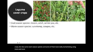 Legumes as cover crops and their benefits to ecosystems [upl. by Adliwa117]