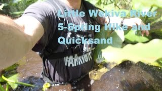 Little Wekiva River 5spring Swamp Hike [upl. by Yoshiko]