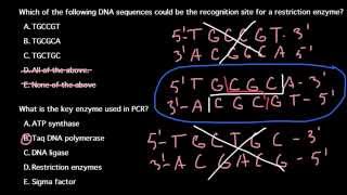 How to recognize a recognition site for a restriction enzyme [upl. by Valdemar]