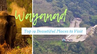 Wayanad  Top 19 Beautiful Tourist Places in Wayanad District  Wayanad Travel Guide  Kerala [upl. by Rochella]