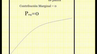 Rendimientos Marginales Decrecientes [upl. by Erdda]