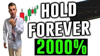 Top 3 Penny Stocks to Buy and Hold FOREVER  2000 [upl. by Zerep]