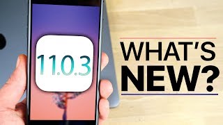 iOS 1103 Released Whats New Review [upl. by Eidnahs97]