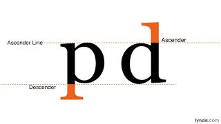 Typography Tutorial  Xheight ascenders descenders serifs and MORE [upl. by Christianity]