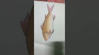 beautiful fish drawing shortvideos viralvideos trending drawing for new [upl. by Selokcin]