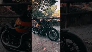 harley davidson motorcycles cinematic harleybikelife bikergirl ladybiker [upl. by Barker]