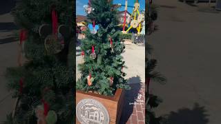 Talking Christmas Tree Douglas Fir at Disney Springs 🎄 [upl. by Aihsal]