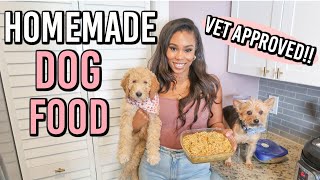 VET APPROVED HOMEMADE  HEALTHY DOG FOOD RECIPE  COOKING FOR YOUR DOG [upl. by Agemo]